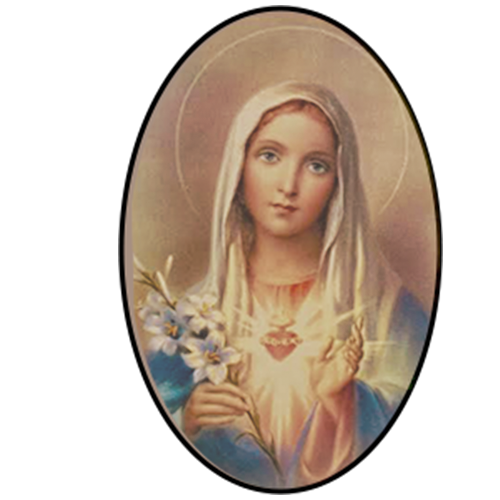 BVM Monogram